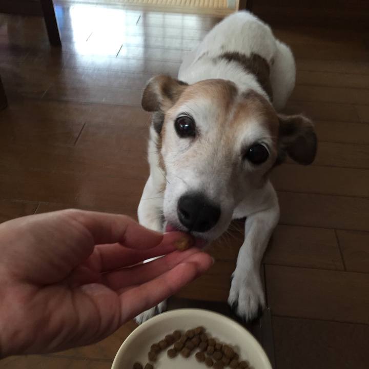 3aa68d16 f377 4eb6 a5be 893fcba6e48c