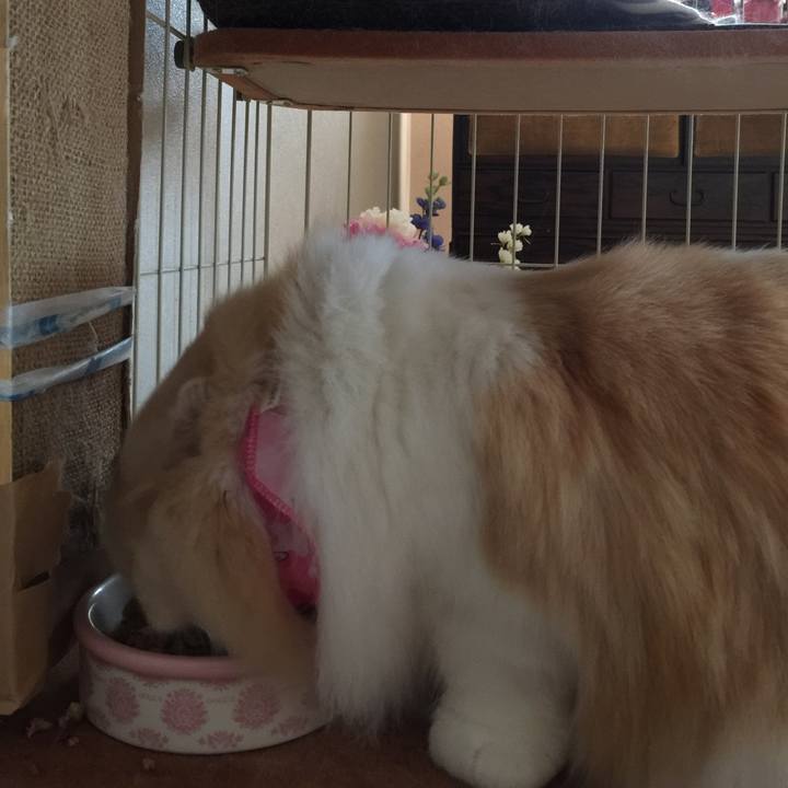 3aa8757a b561 490d 9330 bfdce926fa37