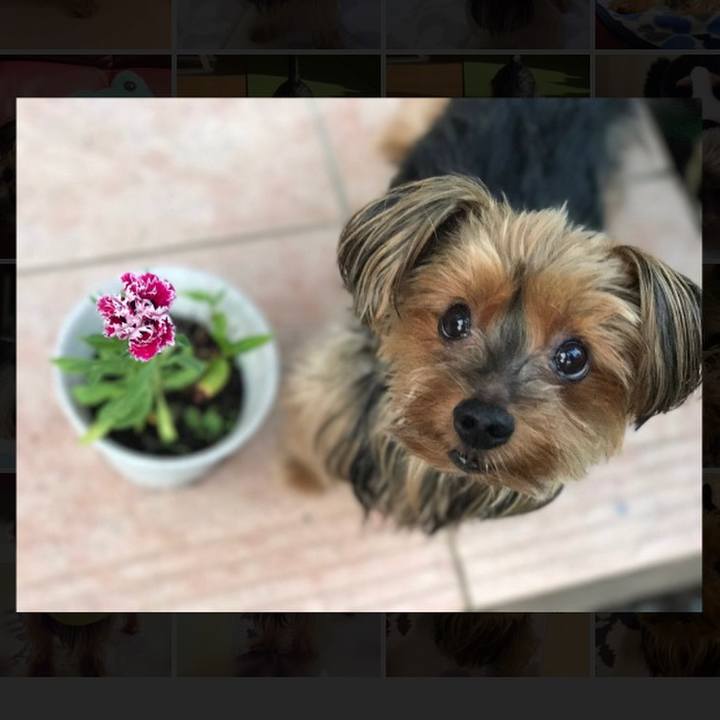 3aa8abc8 9b1f 4a26 be69 d3d497599ef6