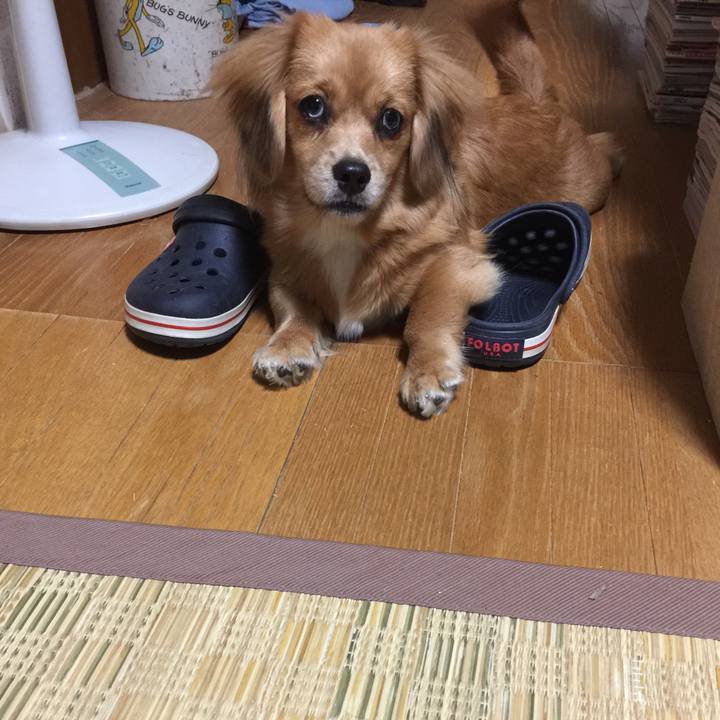 3aa98098 d568 4e38 834c ce5babbd71a6