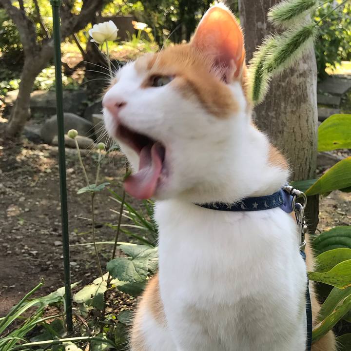 3aaa279a c795 48ef 88d9 399757299041