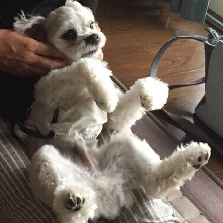 3aaae031 97cb 432c 9260 eddf29b151a4