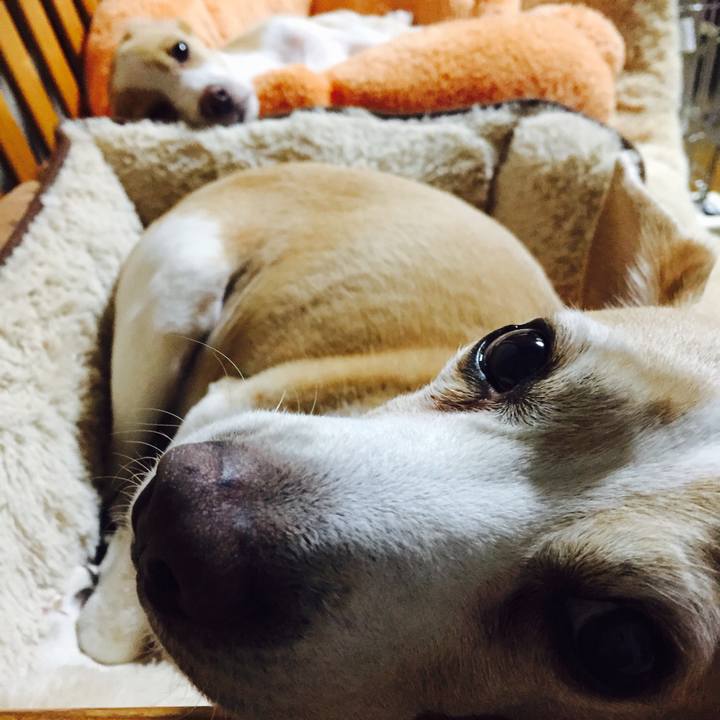 3aab62ae 0417 474c a9e0 d0c03f581eaf