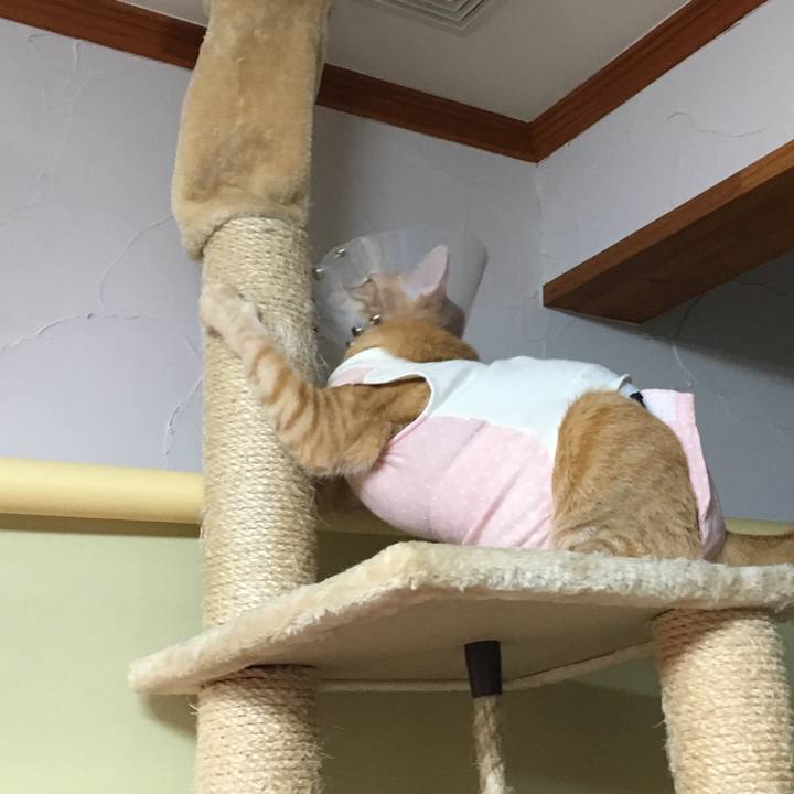 3aac5ea3 c8e3 40af 8df6 8d68b4f4b79d