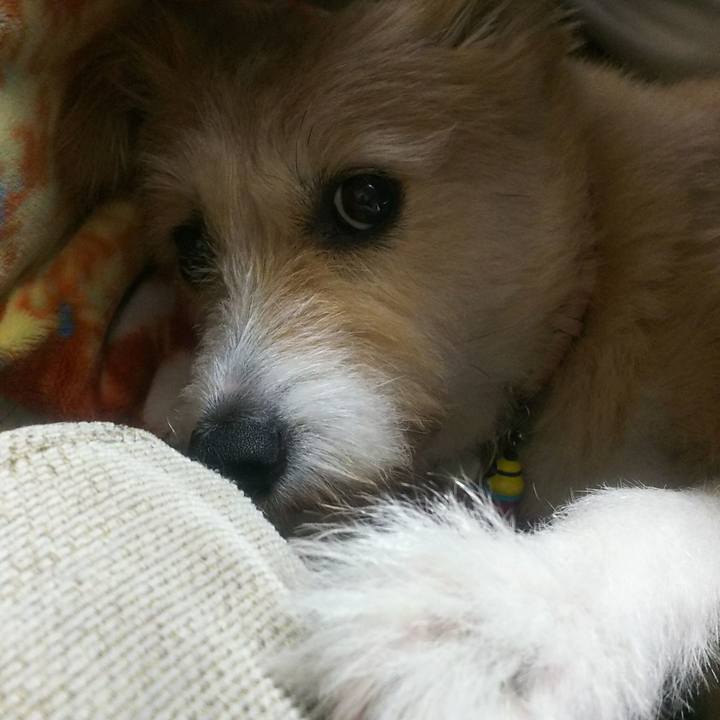 3aac6752 bc11 4bc2 a2ba 62092e1fd98c