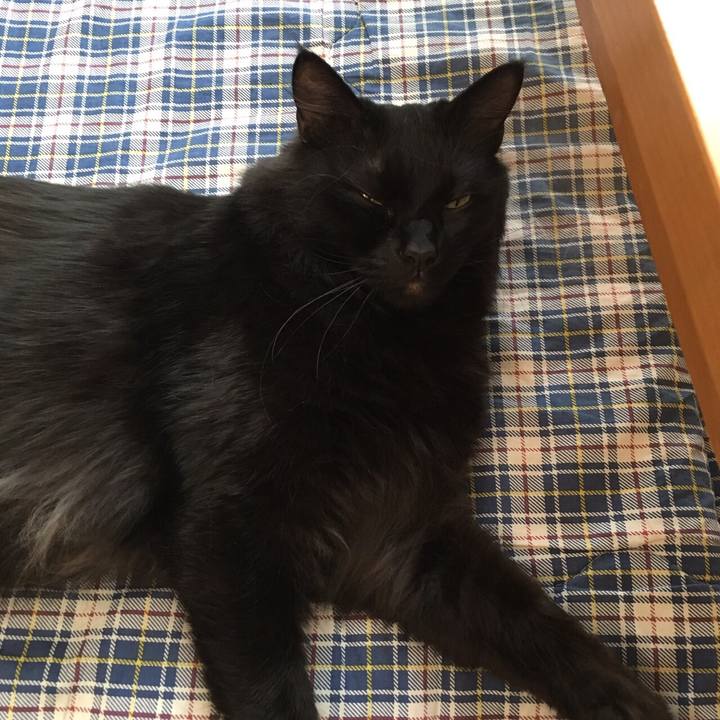 3aacc626 f3b8 46c3 8da8 cbbc3f8cefe9