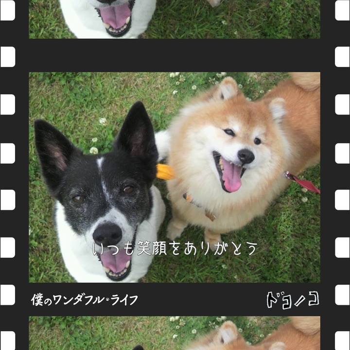 3aad3cca 7ae1 4b14 9e57 99fedcaf39dd