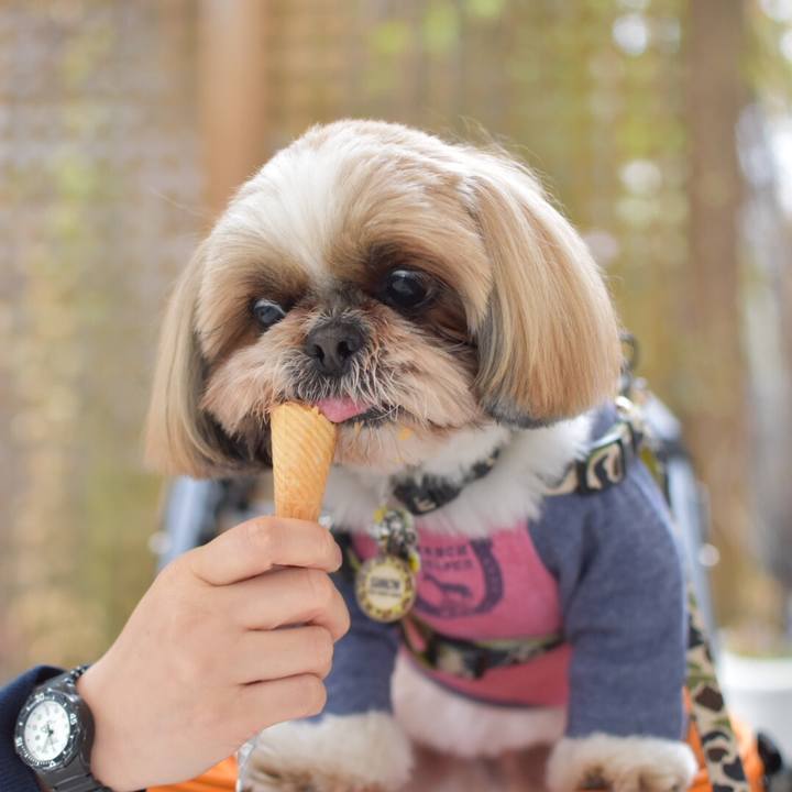 3aad5a22 a080 4987 ab7c c29a4369a30e