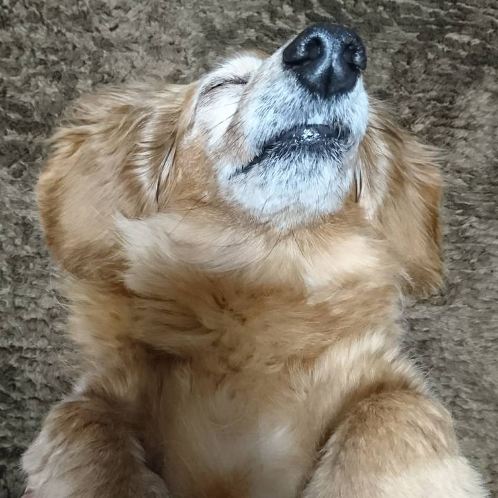 3aad6b3c 2472 4e8f aa1d ca01892e23ab