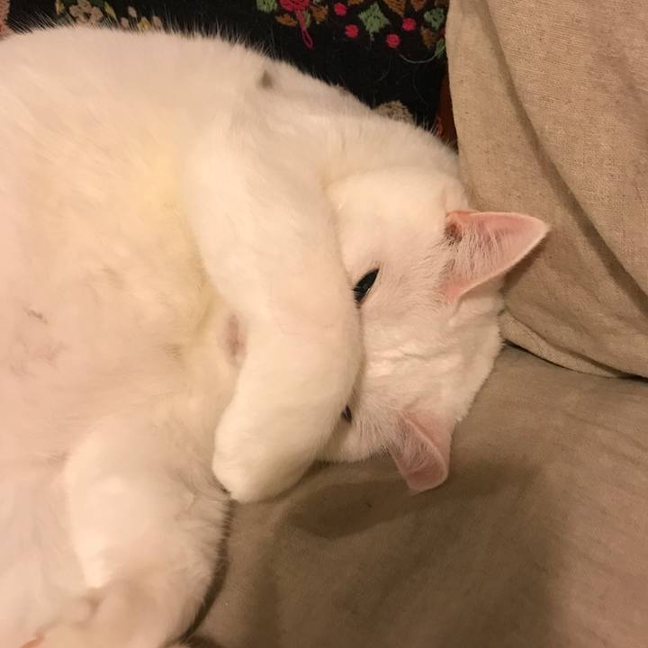 3aad7500 5f96 4247 aec1 17f152730b26