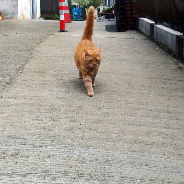 3aaeb981 fd53 42eb b27c 9558338540eb