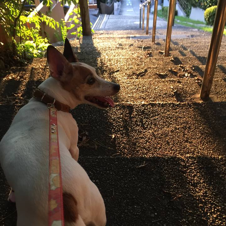 3aaedc10 1309 49c8 8f17 e6b251870106