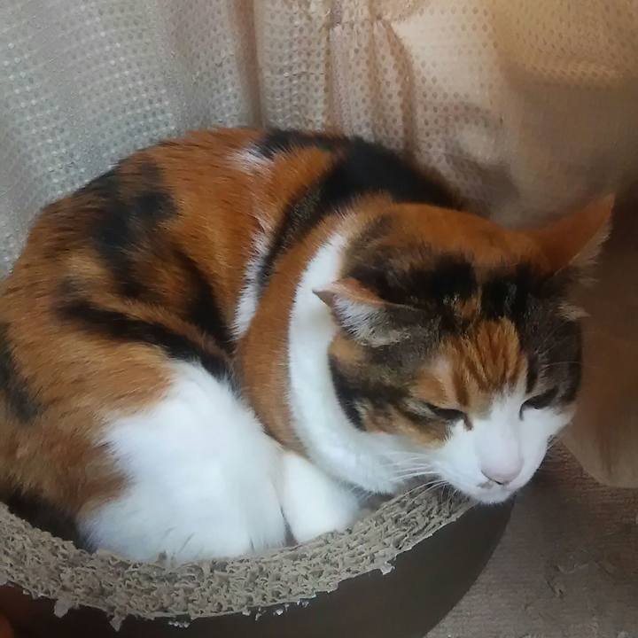 3aaedcc1 c585 425b 8d30 a7271348f28f