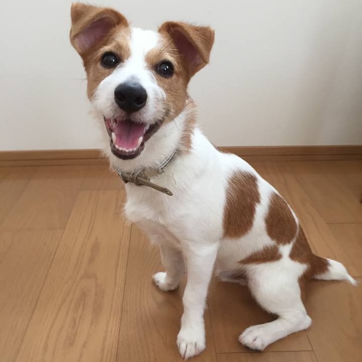 3aaf8000 9abc 4fe0 8673 537150ef25e8