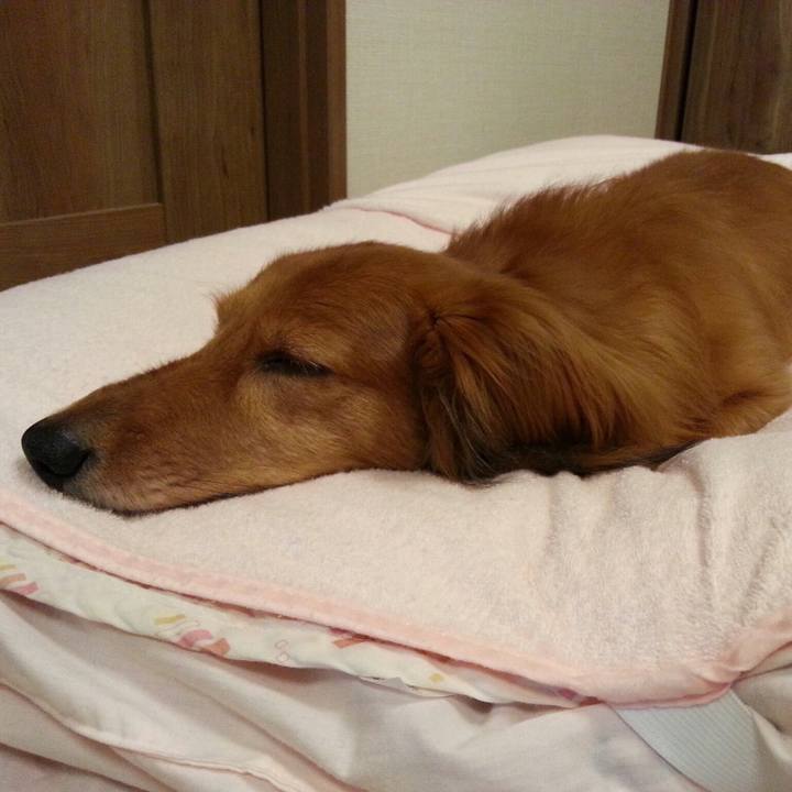 3aaf88de 5bda 43ac 9a76 01e6c5c319aa