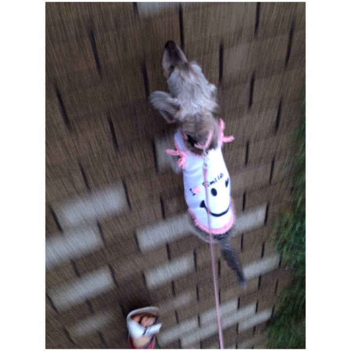 3aaf9b58 f37d 4f11 ba8f 440ed248d256