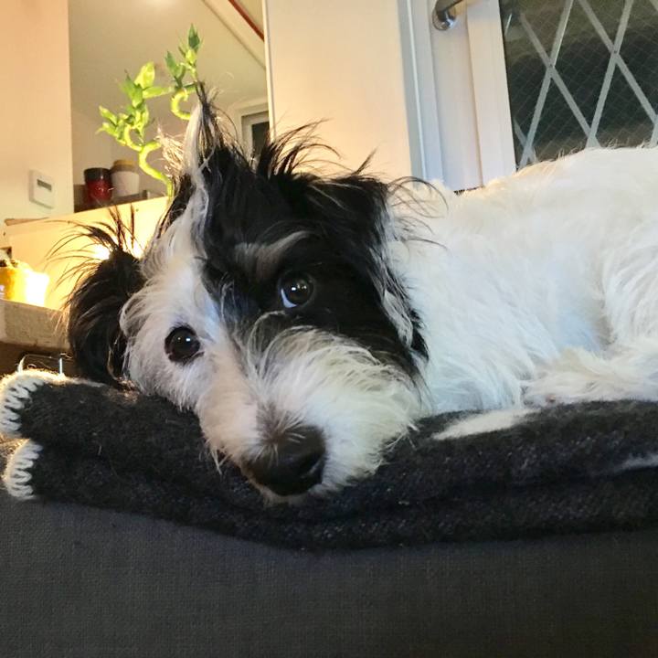 3aaff00b 2908 42ab 89f1 28e7d2c643d2