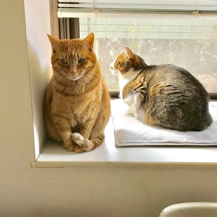 3ab0525d 9780 41c1 8da0 7270f1d8dd6a