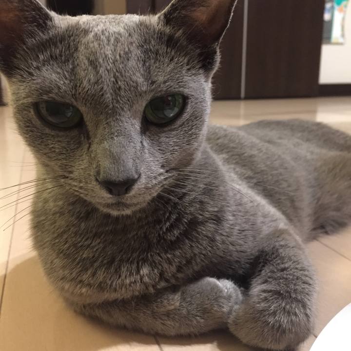 3ab0acc0 c84b 4f32 a177 dc1b23fd9412