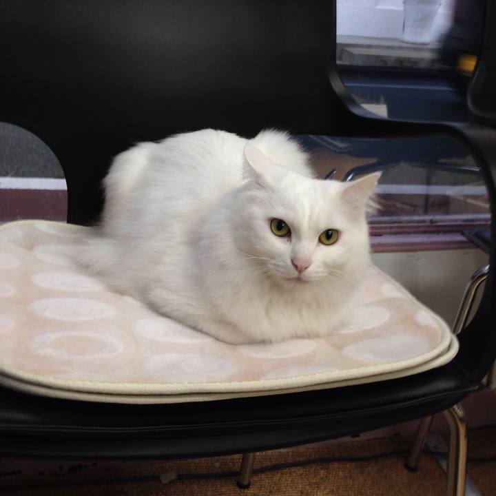 3ab0b86a ea2f 4e95 a283 021a70134b00