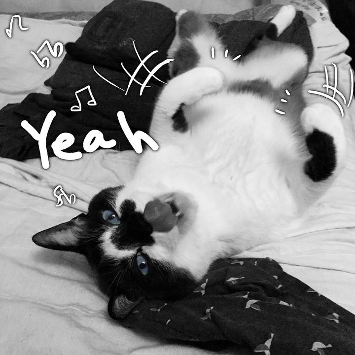 3ab0baa2 90a9 411c b55f 797b025d52d9