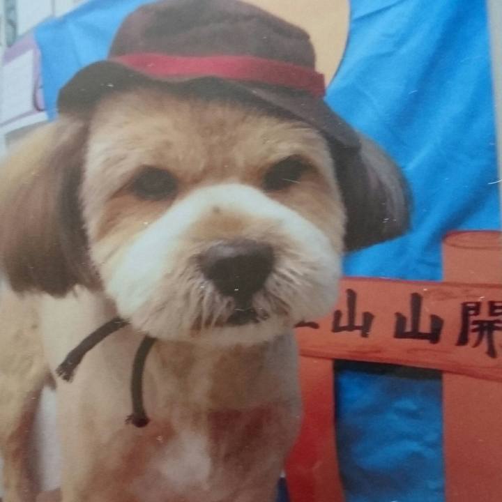 3ab0da9b 1acd 470d a8f7 5cc6f512a3d8