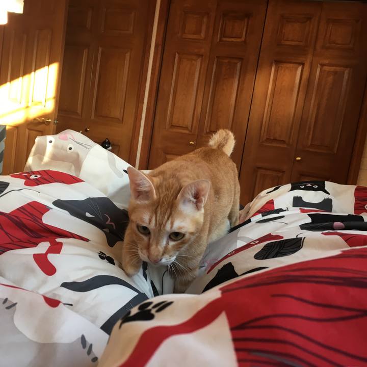 3ab0f5ce 3219 4af9 bb94 5efc60a1e7b1