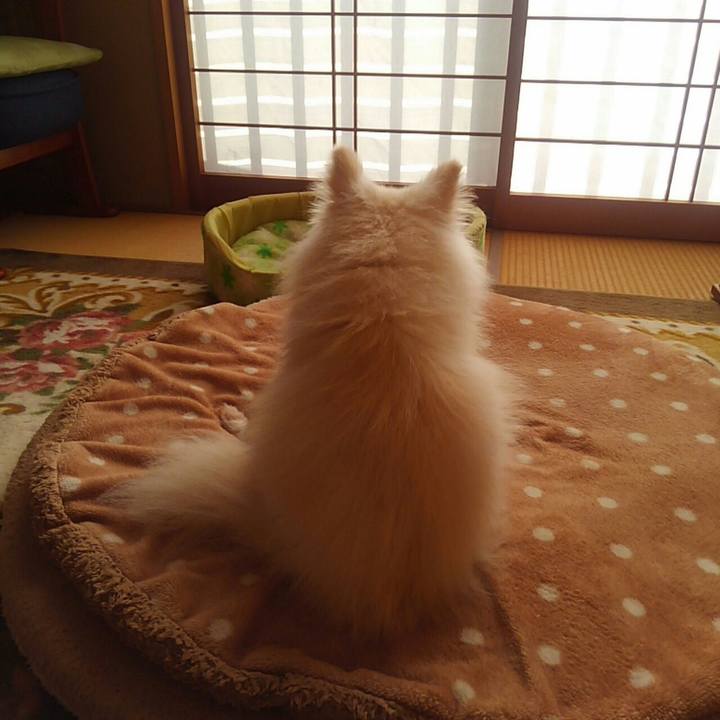 3ab0f93e 926c 41ed 810c 36ecdfe4d6f8