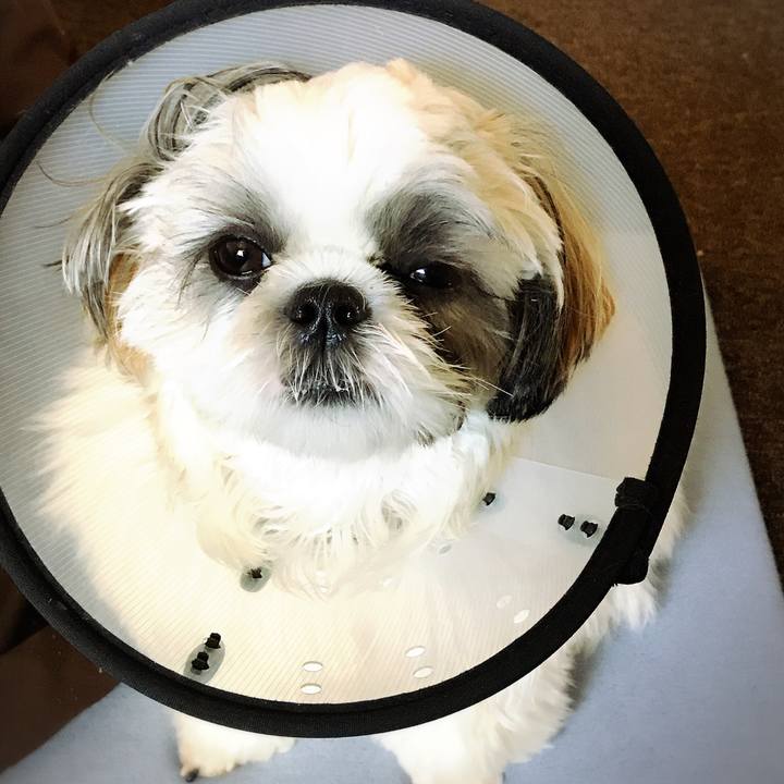 3ab1be32 fda1 4ea9 af95 14b4008f4589