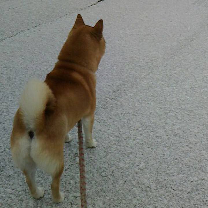 3ab1fef8 792e 43e0 a256 638dc46c3bb8