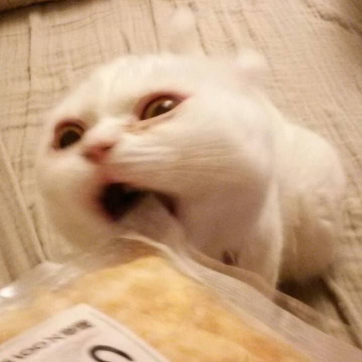 3ab2201c 7165 4a05 954c e6ab14f4c83b