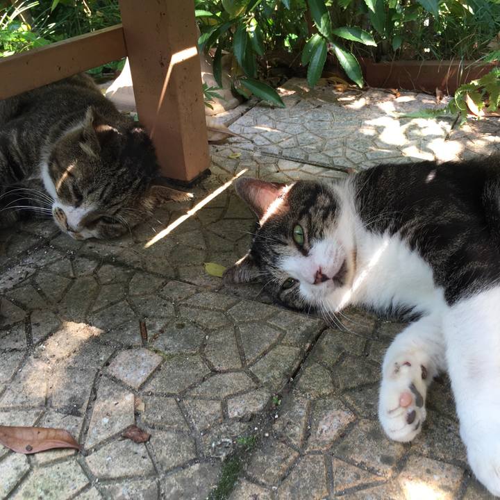 3ab24c93 30a3 4e17 ba33 c5aa3333d7fa