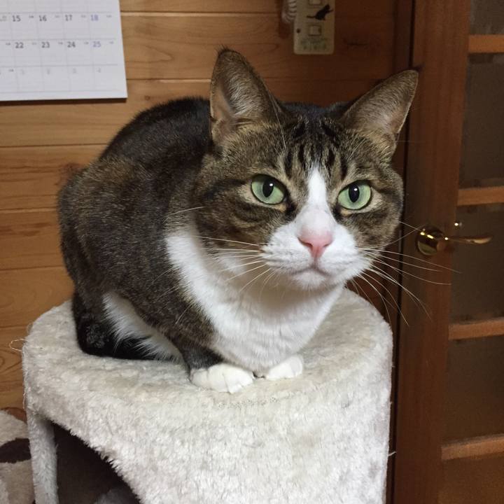 3ab25f35 1d8e 4209 b4ca 9c41de2f5fa5