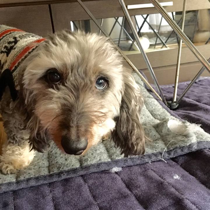 3ab3326a 8127 44ee a907 a6607666e902