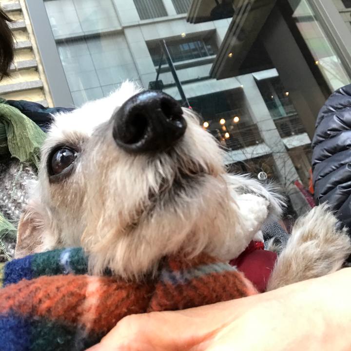 3ab363d5 4a4b 4735 adaa 7916555a03c0