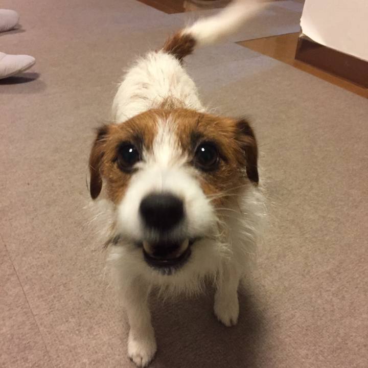 3ab40d54 1a90 449f 9356 dd8a643e112d