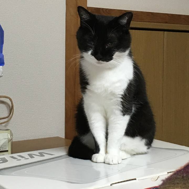 3ab4c3f6 f71a 4b0d 8f7a eb059edfba51