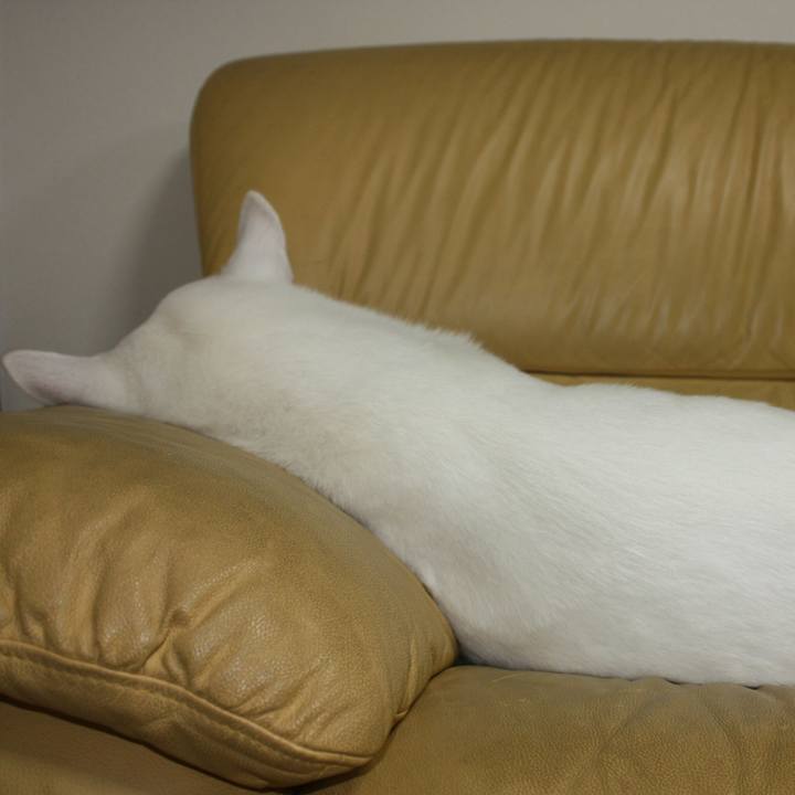 3ab52ac0 a0f5 4433 8aa1 3ba4ccc27754