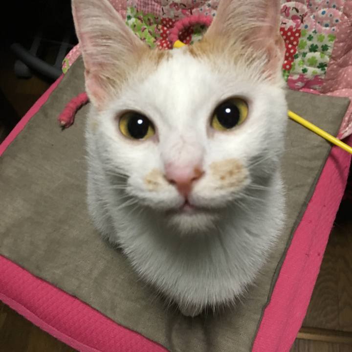 3ab5639f e04d 4916 8203 d360599a56b9