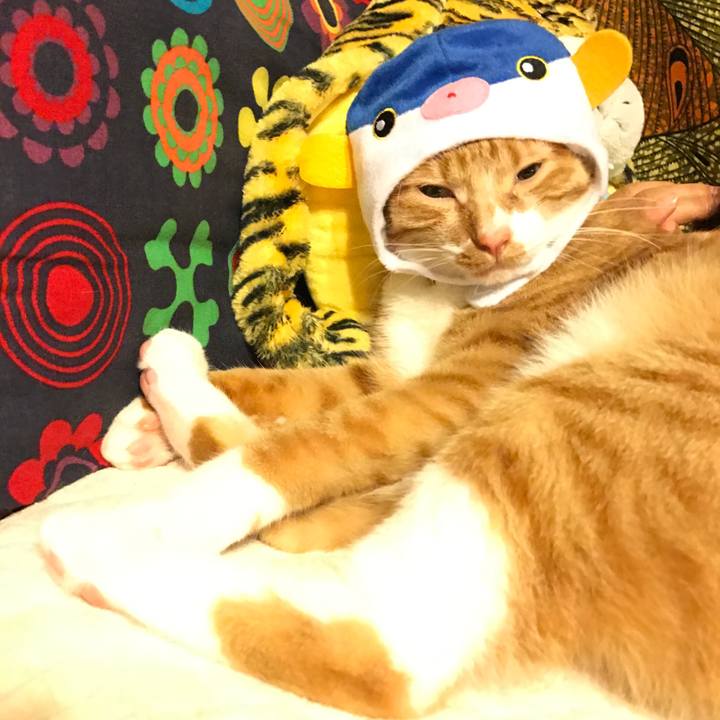 3ab5afad 4f76 475e 9a90 1b4ddff152cf