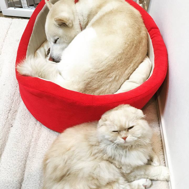 3ab63a84 2949 4082 9dd2 21d8dcb80f64