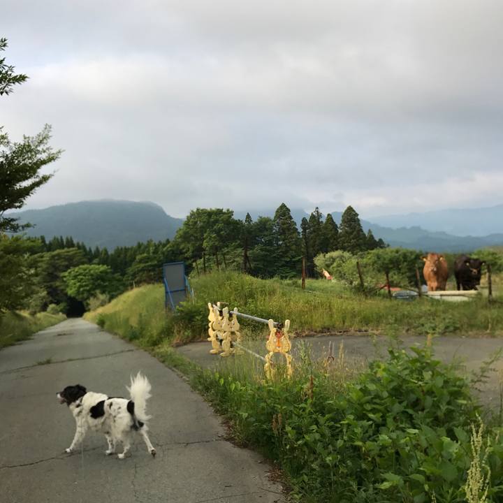 3ab6e1e3 1f5a 4fc7 8d8f 536ccc53e1b2