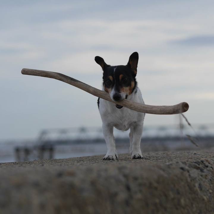 3ab8a4a1 3d5a 4c12 a568 da3a73c20dd0