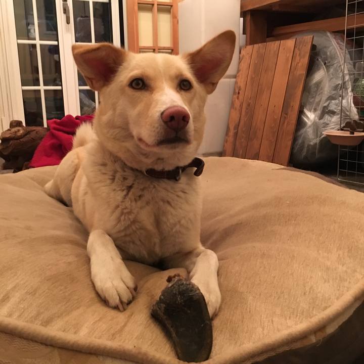 3ab8ac92 d37d 4b22 a7c7 6bcfdfd88b67