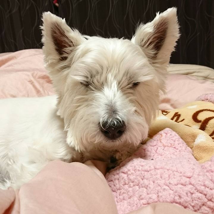 3ab8ed3e 938f 4f4e a519 bd0766ada108