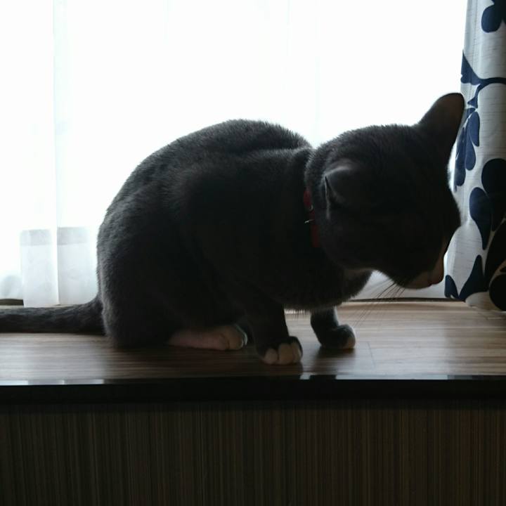 3ab94905 de72 48aa b338 2c06edfbd4e9