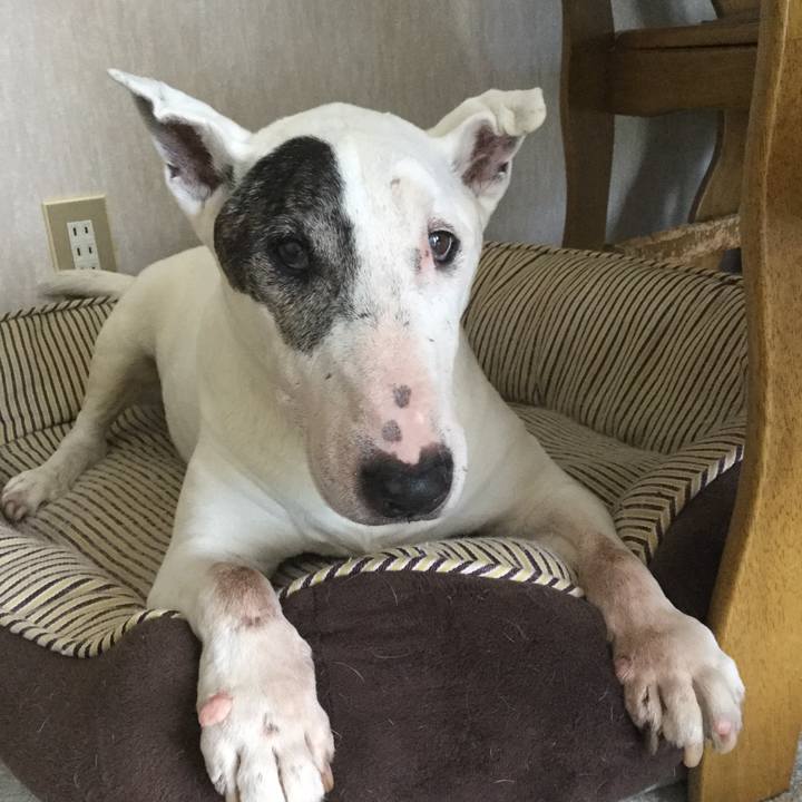 3ab975e1 01f9 4851 8bc7 224fbebf6be2