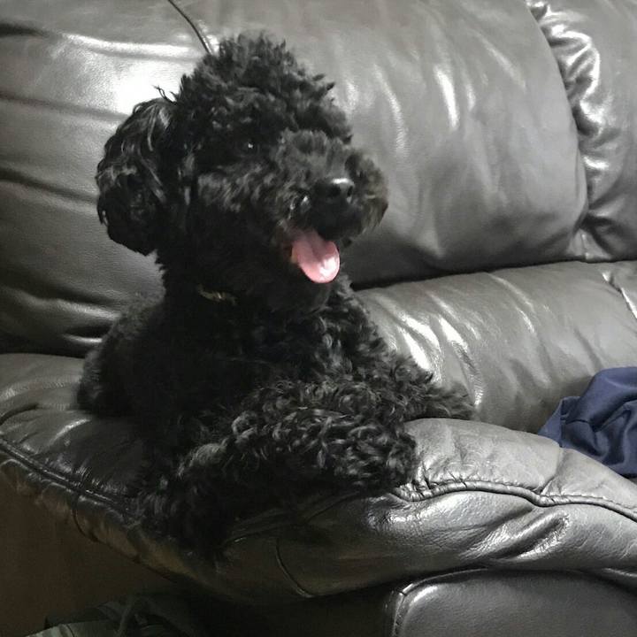 3ab98e72 76ad 47d5 a147 446e37486a6c