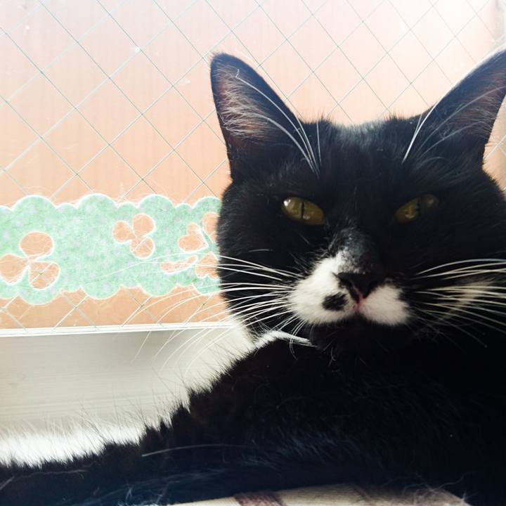 3ab9d894 806e 4c9d a85c daef13ccc3d6