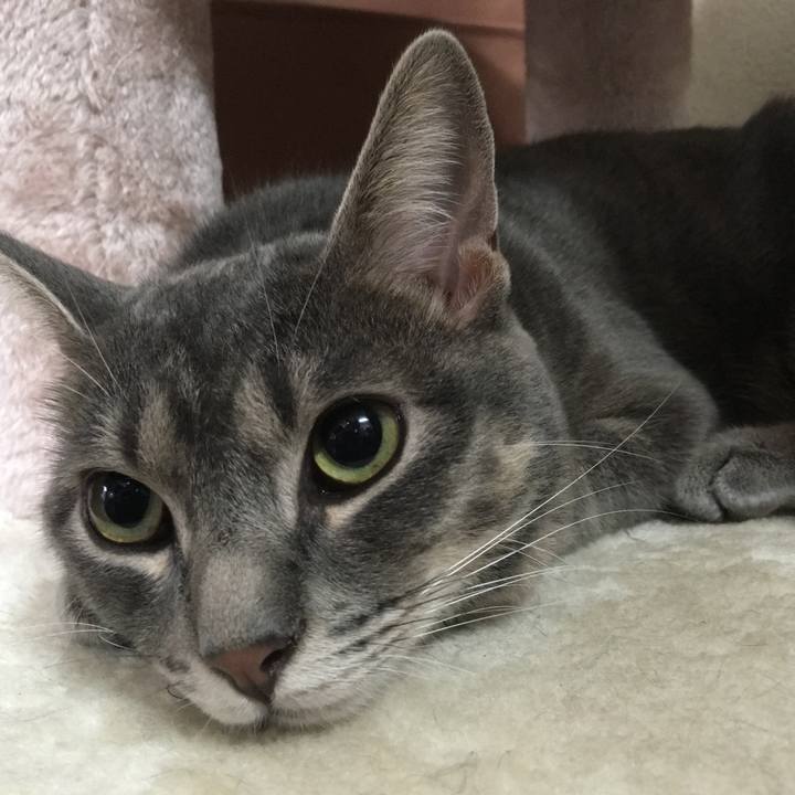 3ab9df76 546f 4e86 90de a36331e0b768